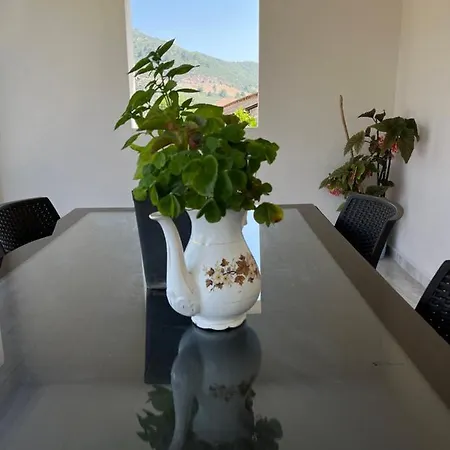 Daire Portakal çiçeği