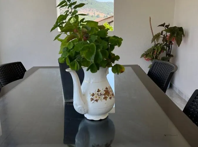 아파트 Portakal Cicegi